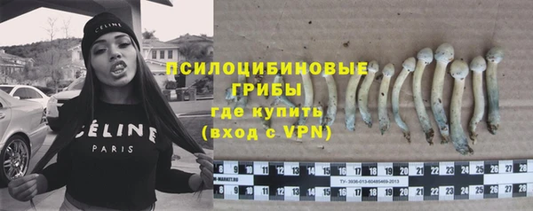 молекула духа Горно-Алтайск