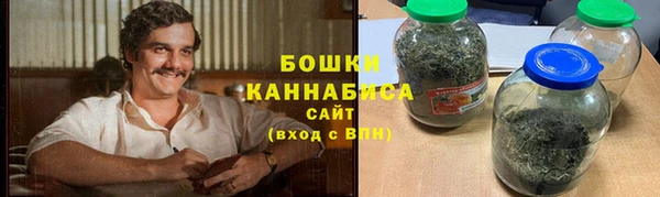 молекула духа Горно-Алтайск