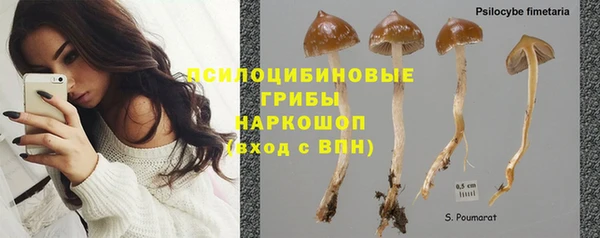 соль ск Горняк