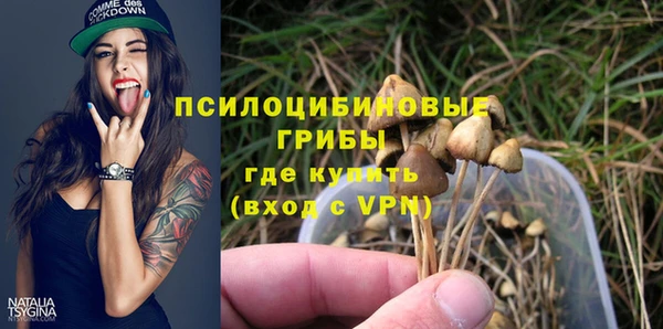 соль ск Горняк
