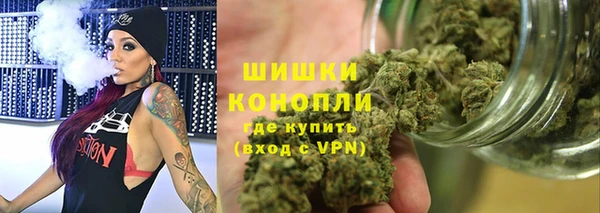 молекула духа Горно-Алтайск