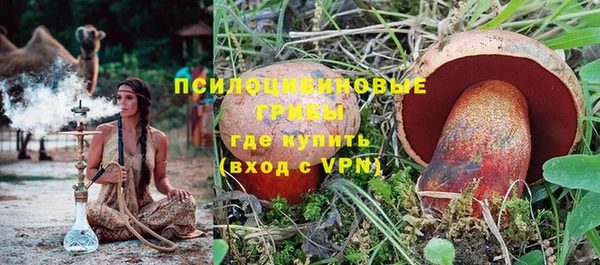 молекула духа Горно-Алтайск
